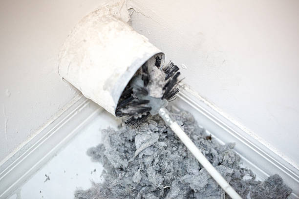 Best Home Air Vent Cleaning  in Dyer, IN